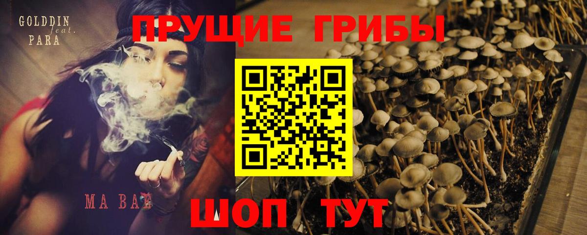 Владикавказ  Псилоцибиновые грибы Psilocybe  Вход с VPN  Галлюциногенные грибы Magic Shrooms 